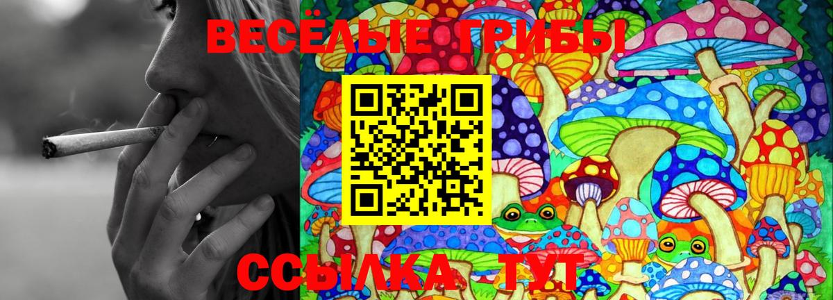Темрюк  Псилоцибиновые грибы GOLDEN TEACHER  Вход с VPN 