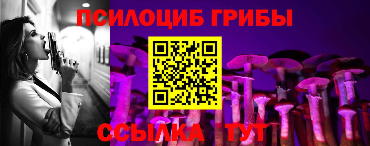 Псилоцибиновые грибы Cubensis Темрюк